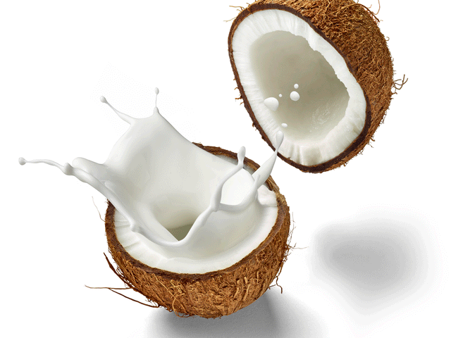 Moisturizing Leave-In Coconut Milk Conditioner with Aloe and Argan Oil