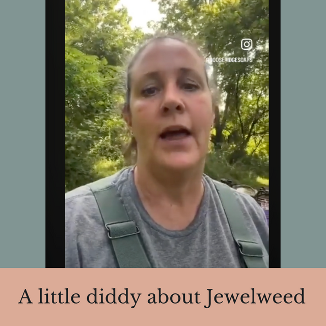 A little diddy about Jewelweed