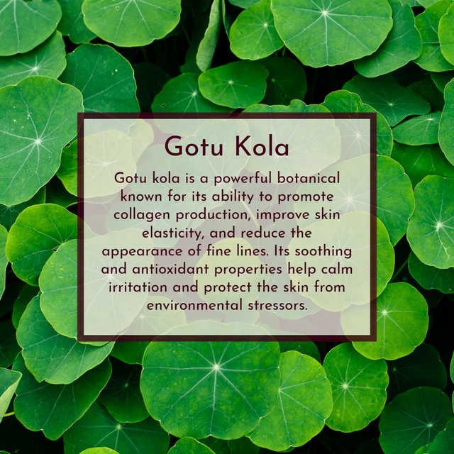 Pasture & Petal - Luminous Leaf ( all skin types)